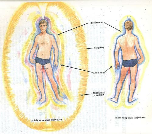 Tần số rung và hào quang